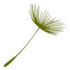 fornellahof-la-majun-apple-touch-icon fornellahof-la-majun-apple-touch-icon